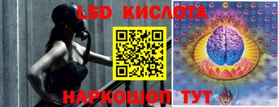 прущие грибы Ижевск