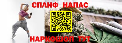 прущие грибы Ижевск