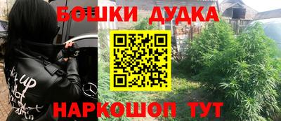 прущие грибы Ижевск