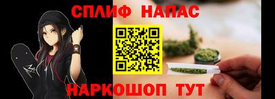 прущие грибы Ижевск