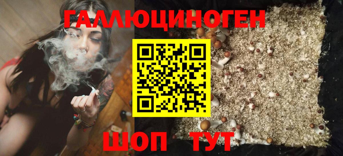 Псилоцибиновые грибы мицелий  цена   Белово  Вход с VPN  Псилоцибиновые грибы мухоморы 