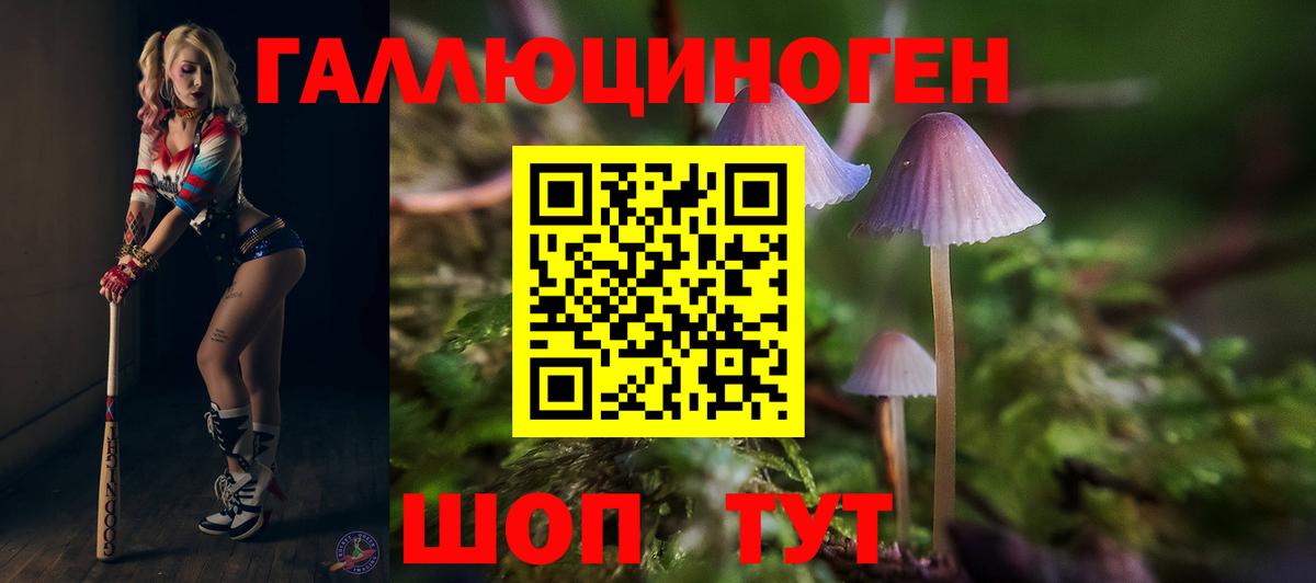 Псилоцибиновые грибы Cubensis Белово
